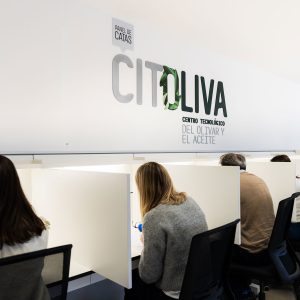 Citoliva