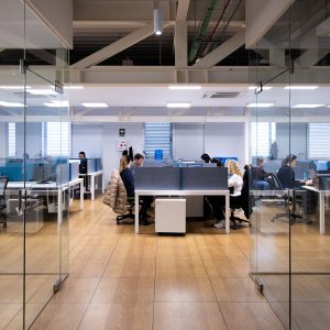 Innovasur