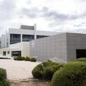 Olivarum