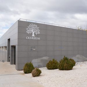 Olivarum