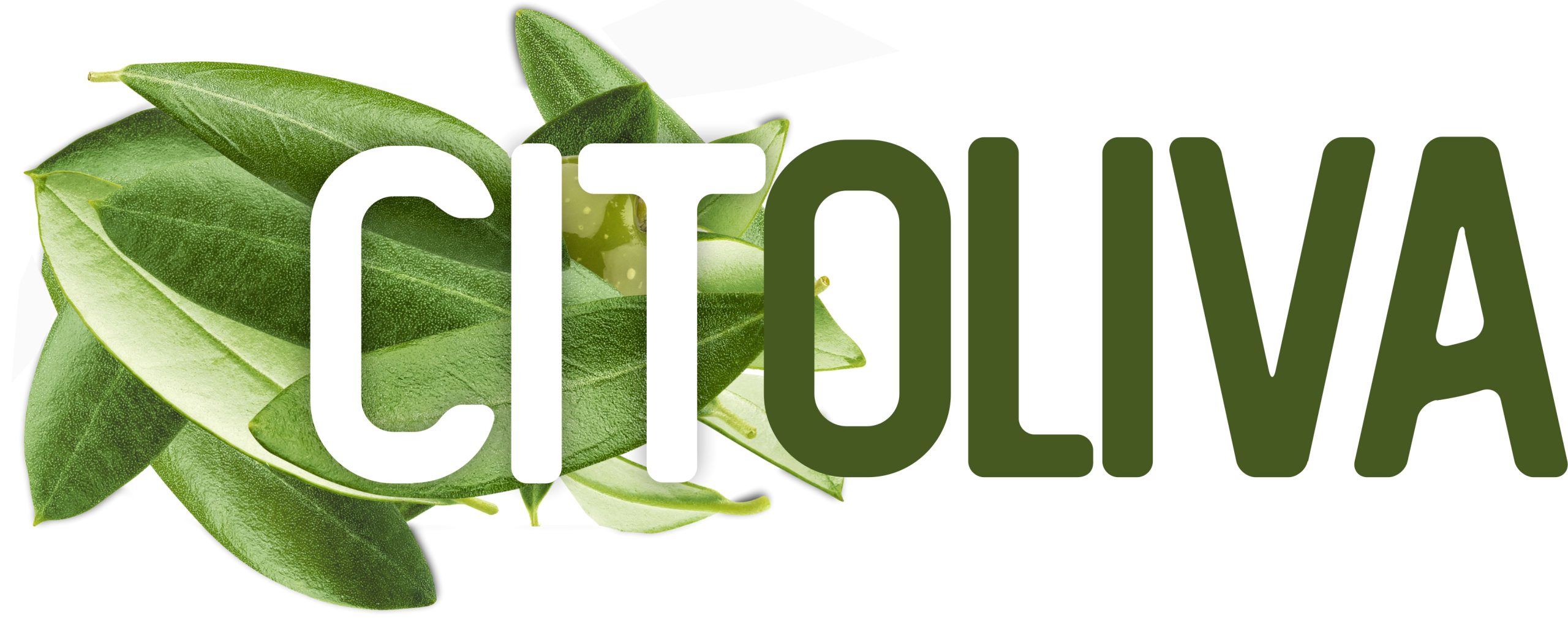 logotipo_citoliva