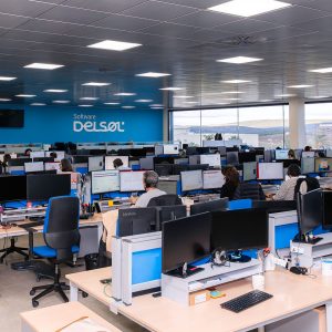 Software DELSOL