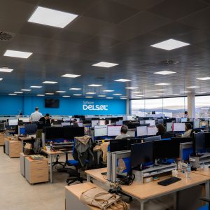 Software DELSOL