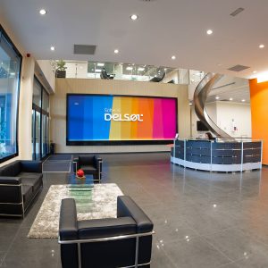 Software DELSOL