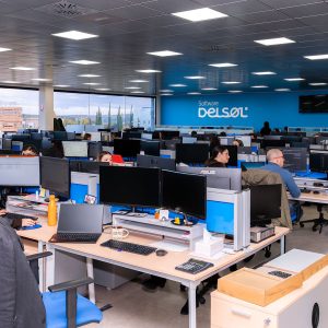 Software DELSOL