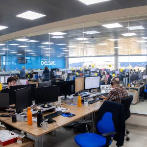 Software DELSOL